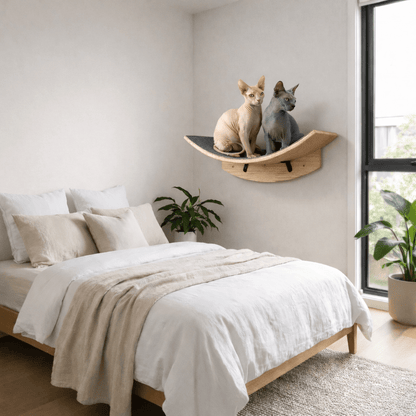 arbres à chat hamac mural pour chat dans une chambre moderne
