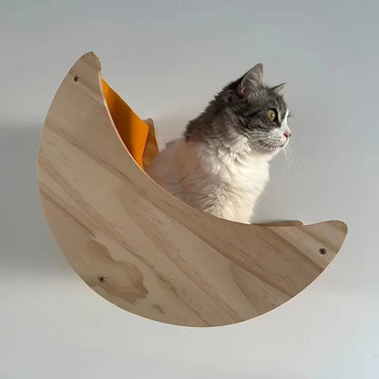 chat assis dedans lit mural demi lune