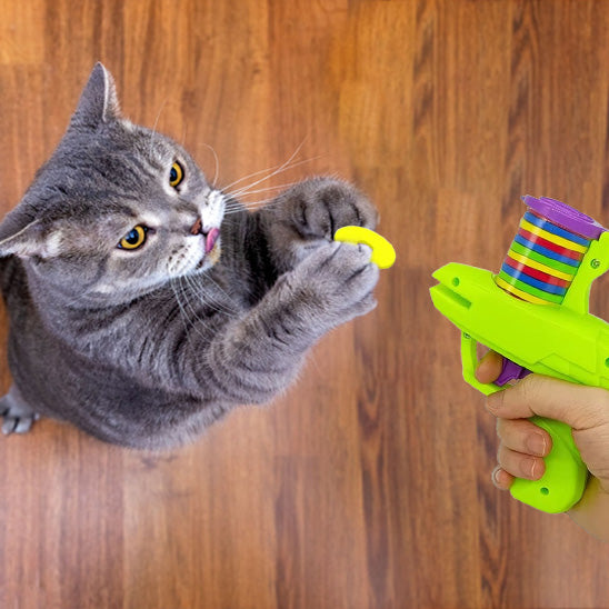 chat attrape direct disque mousse sortie pistolet