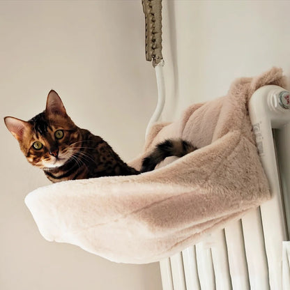 chat curieux assis lit radiateur regarde caméra