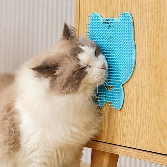 chat frotte brosse