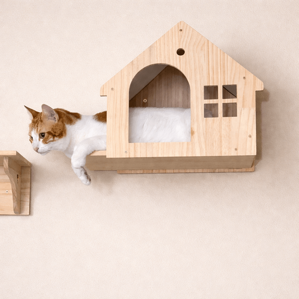 chat niche murale bois naturel chat roux repos en hauteur
