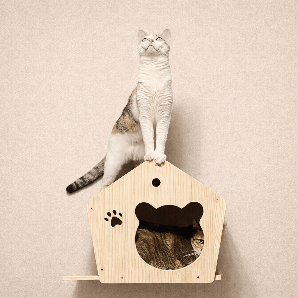 chat niche murale design bois massif structure verticale pour chats