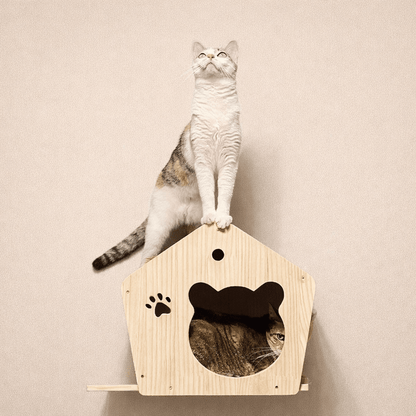 chat niche murale design bois massif structure verticale pour chats