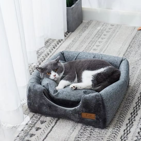 chat niche transformable lit ouvert coussin confort