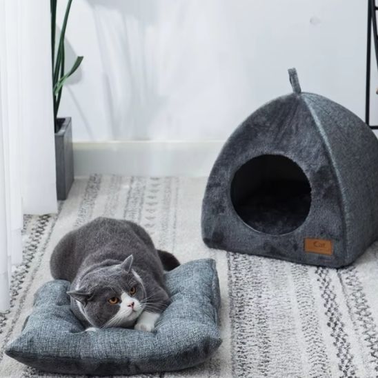 chat niche espace repos calme sécurisant