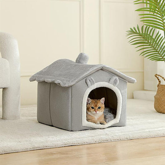 chat regarde territoire securité dedans niche chat chatlet