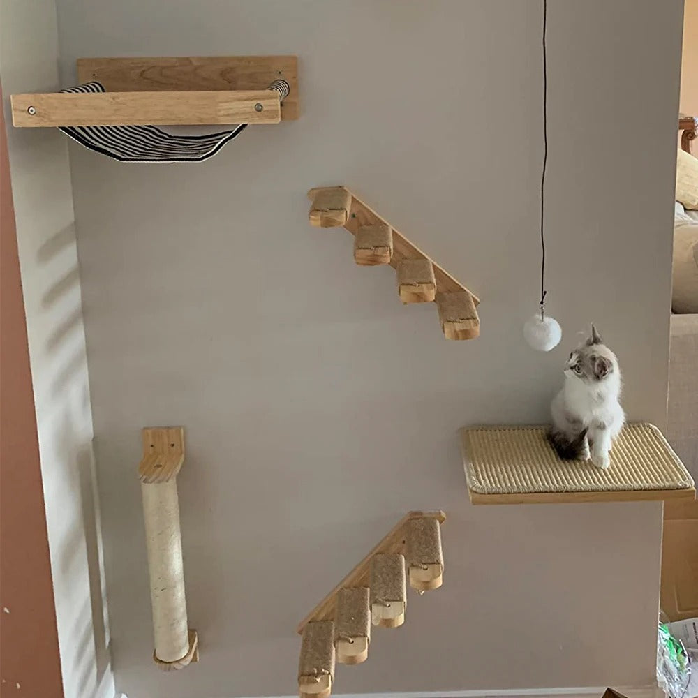 chaton assis parcours mural bois naturel