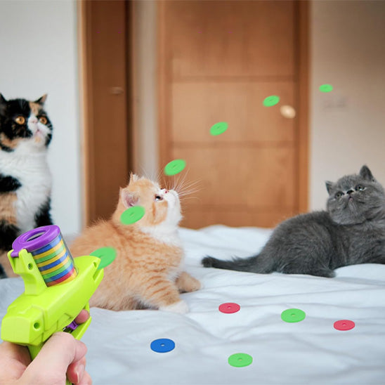 chats intrigues disques volent partout sortie jouet pistolet
