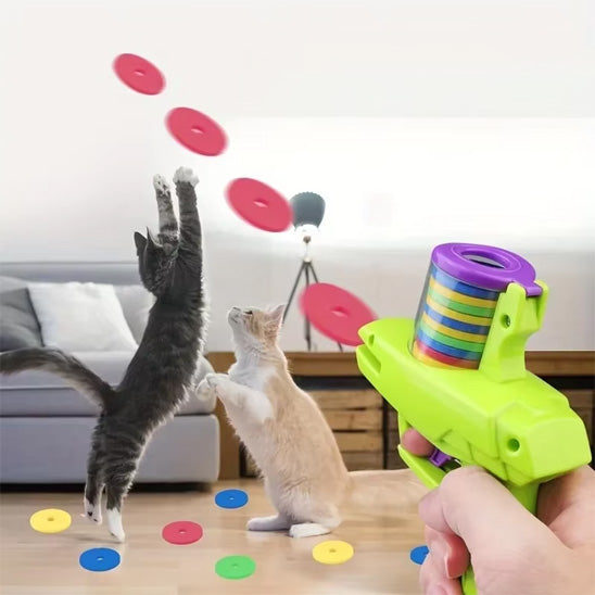 chats sauts attrape disques mousses
