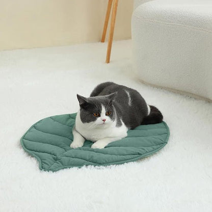 chat relax dessus coussin chat ChatDodo