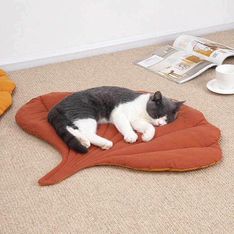 coussin chat doux repos sieste feuille