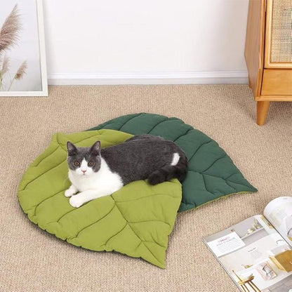 coussin chat feuille vert utilisation au sol
