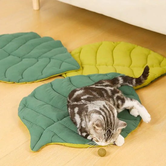 coussin chat feuille plusieurs couleurs