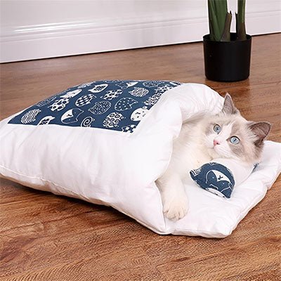 chat couché dans coussin chats tête sur oreillé CoussiChat