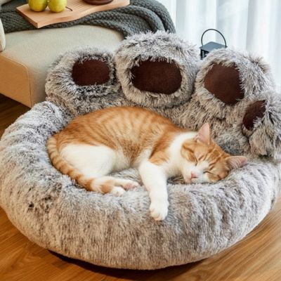 coussin chats en forme de patte avec chat roux endormi