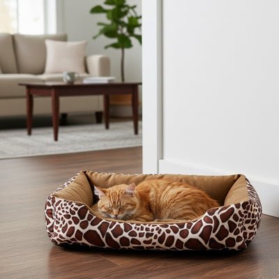 panier pour chat confortable avec chat allongé