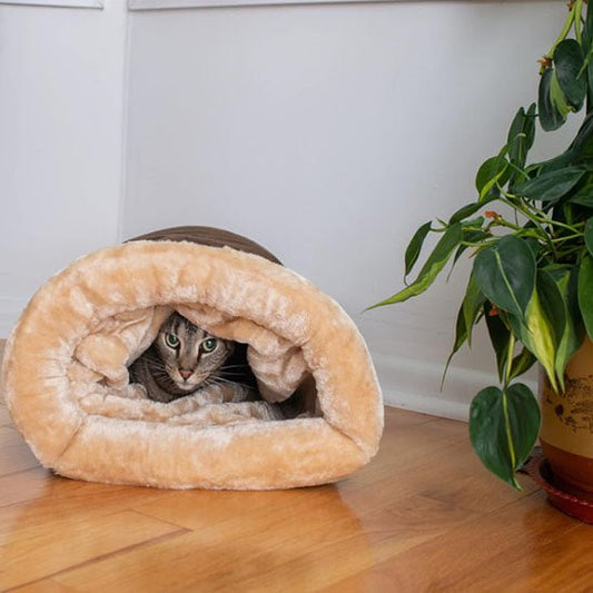chat enveloppé dans coussin pour chat couleur marron Chalax