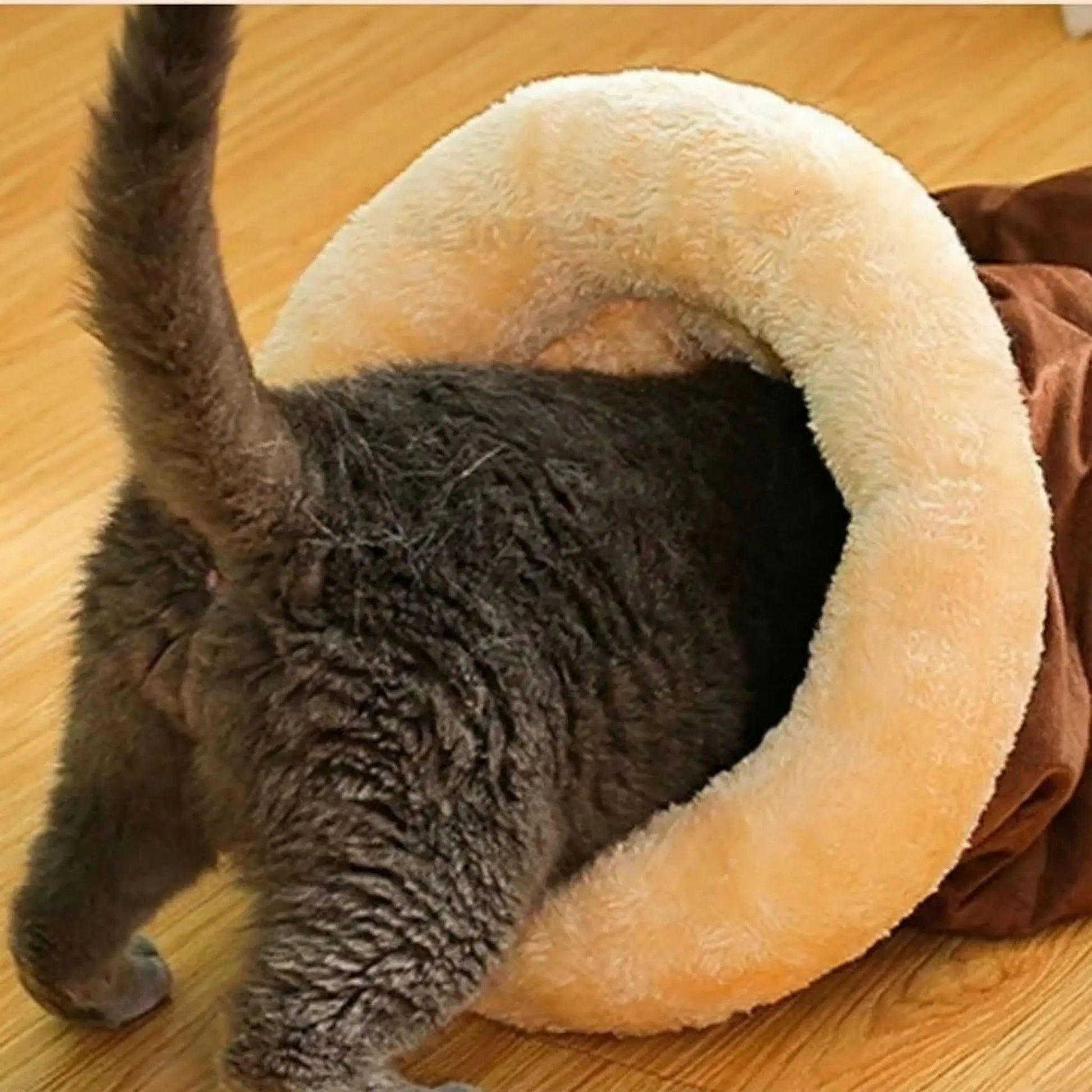 coussin pour chat intérieur doux chaud et moelleux