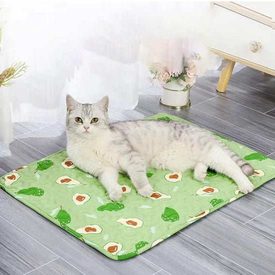 chat relax dessus coussin pour chat vert Coussinou