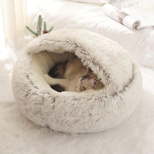 petit minou endormis dedans coussin pour chat Duvet félin