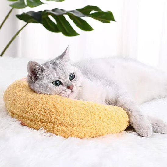 coussin pour chat moelleux forme ergonomique chat détendu