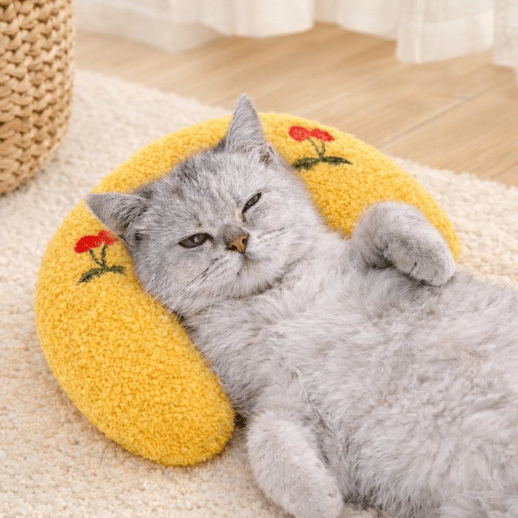 coussin pour chat plaisir relaxation position allongée