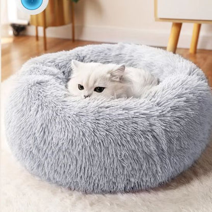 minou repose dans coussin pour chats gris Fluffy Cat