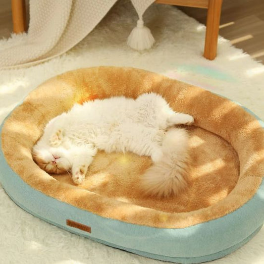 minou dort couché sur dos dans coussin pour chats Plouf Douillet