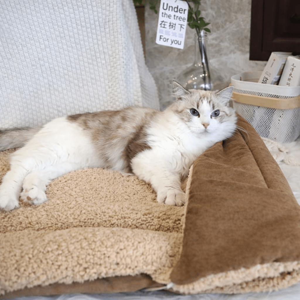 coussin pour chats matière sherpa épaisse et moelleuse
