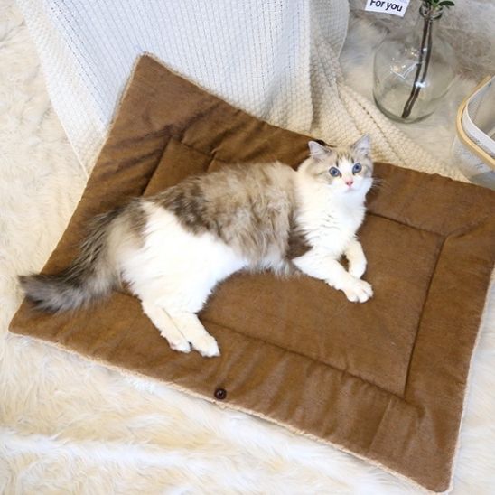 coussin pour chats confortable transformable panier mode plat