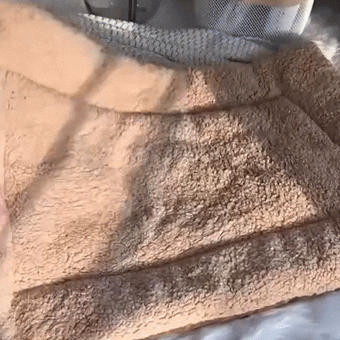 coussin pour chats transformable panier animation gif