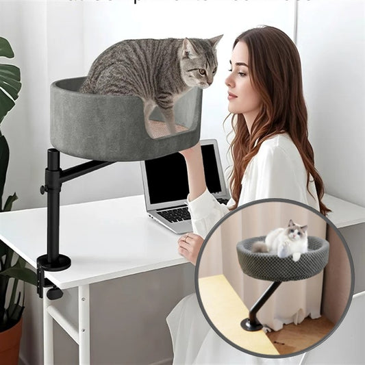 femme assis bureau contente flatter chat coucher lit flottant