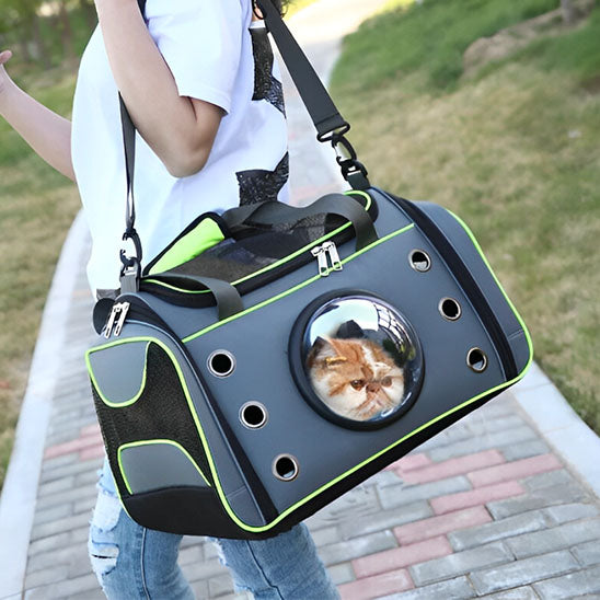 femme marche chat sac transport