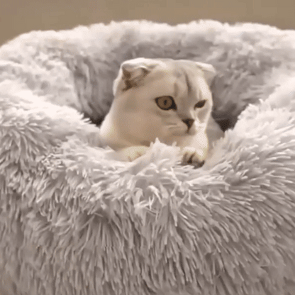 gif chat dans coussin panier douillet