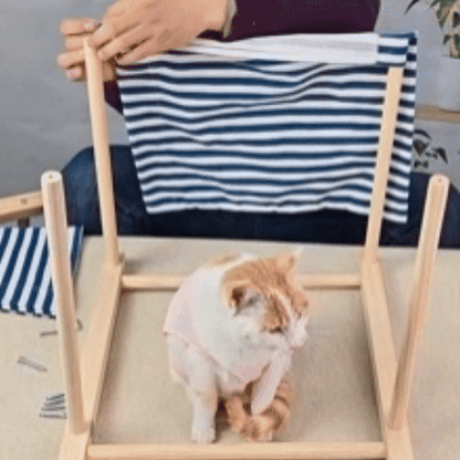 gif hamac pour chat double niveau avec deux chats