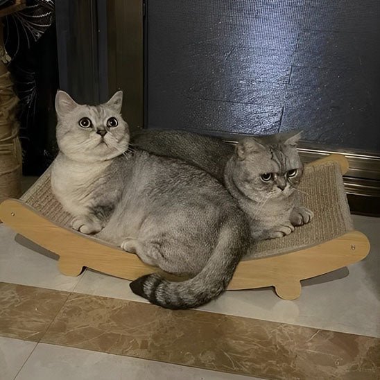deux beaux chats couchés sur griffoir a chat design Élégance