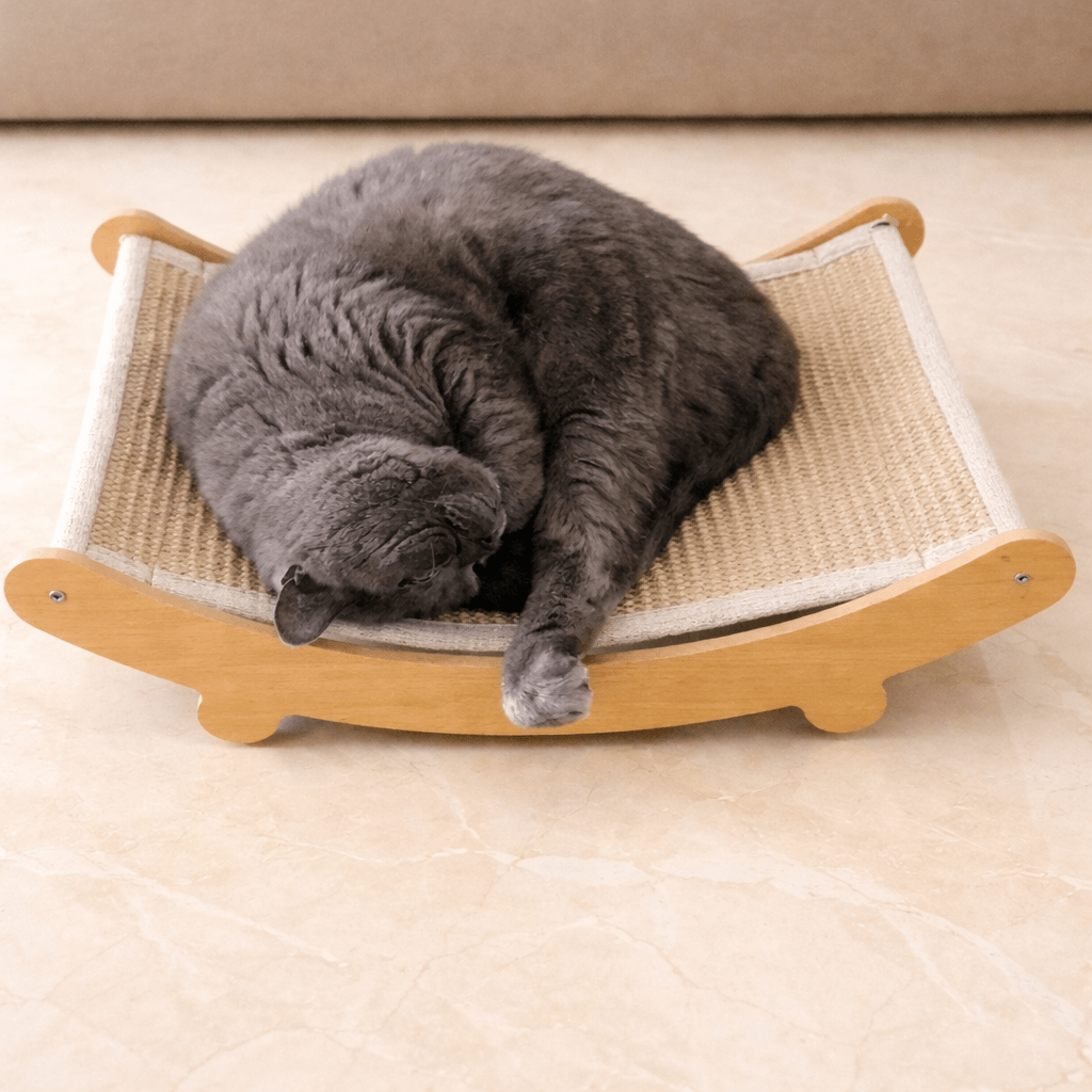 chat endormi sur un griffoir à chat design confortable