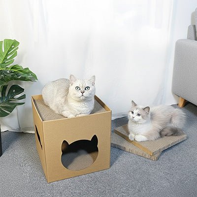 griffoir carton chat double usage repos et griffes