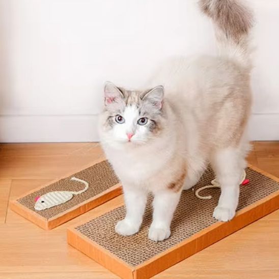 minet marche sur griffoir carton EcoPaw