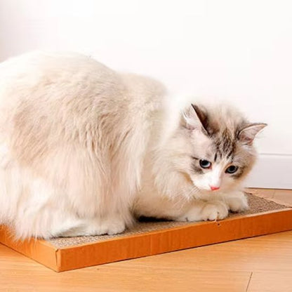 minou éguise griffes sur griffoir carton EcoPaw