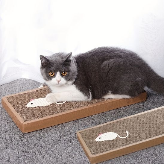 minet couché sur griffoir carton rectangulaire EcoPaw
