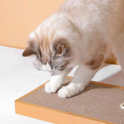 chat fait griffes sur griffoir carton EcoPaw