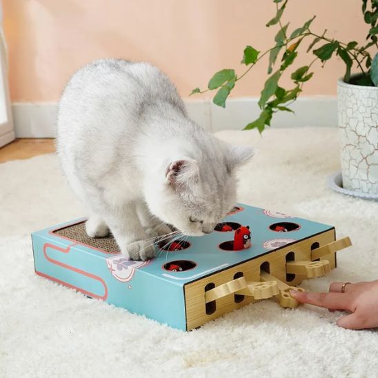 griffoir chat carton avec jeu intégré pour stimuler l’instinct du chat