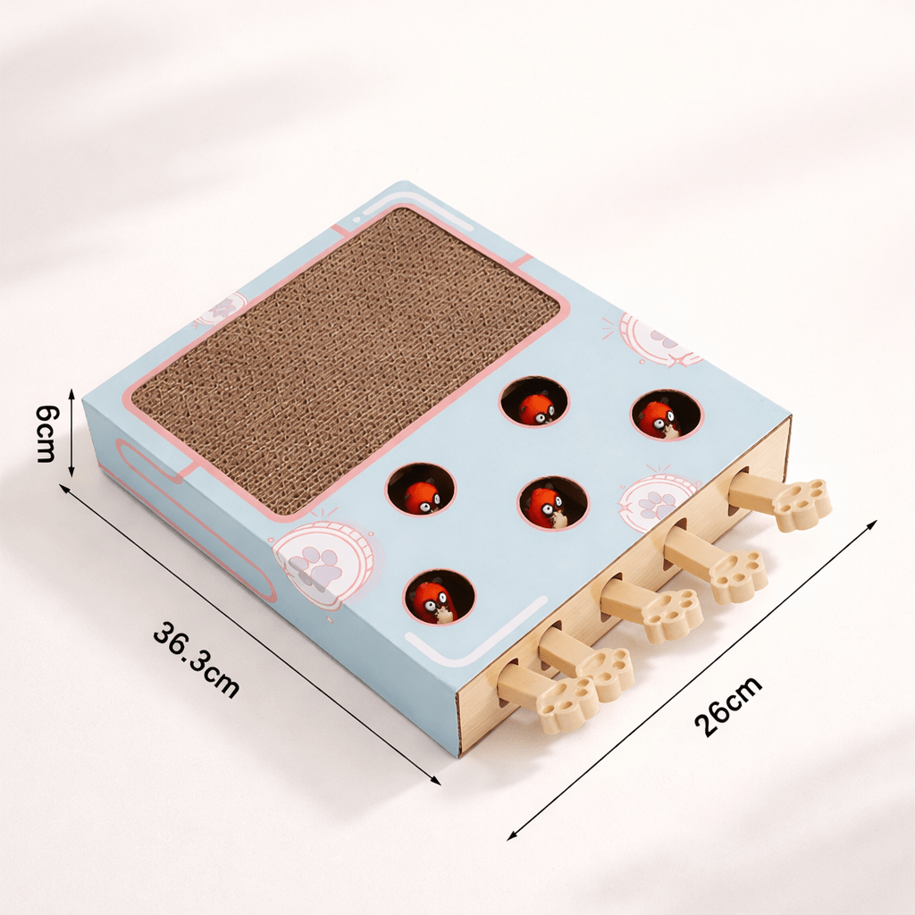 dimensions griffoir chat carton compact adapté aux petits espaces