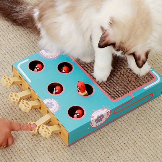 griffoir chat carton interactif avec jouets et stimulation pour chat actif