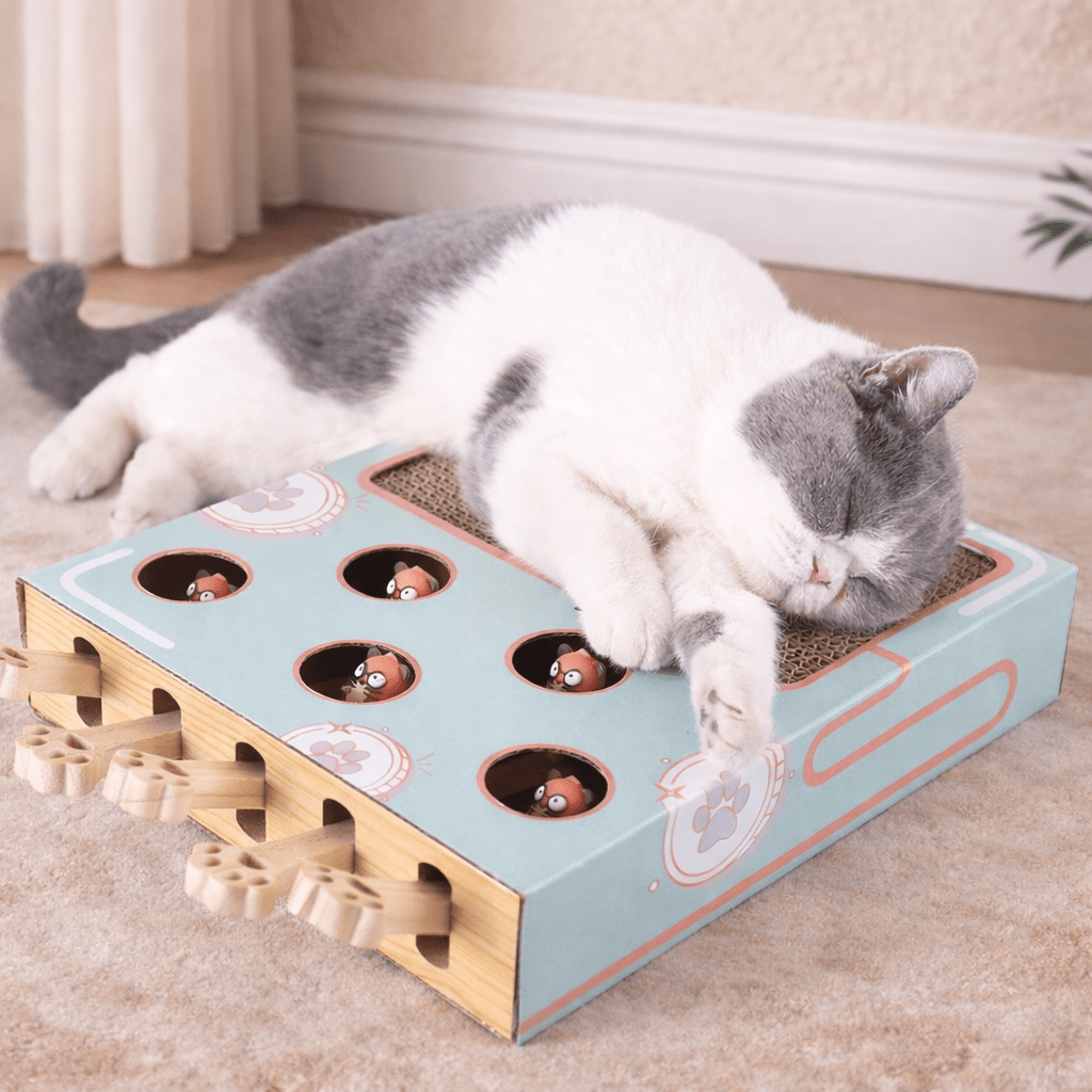 griffoir chat carton avec surface confortable pour le repos du chat