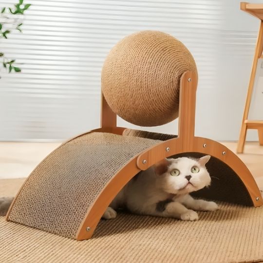griffoir pour chat design avec espace de repos intégré et structure arquée stable