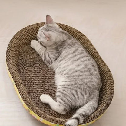 griffoir chat carton oval chat dort
