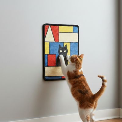 griffoir mural chat utilisation murale gain espace